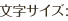 文字サイズ: