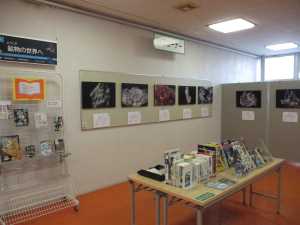 写真展「ようこそ鉱物の世界へ」