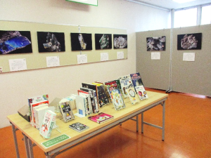 鉱物　展示