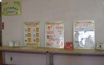 展示の様子です。 展示の様子です。