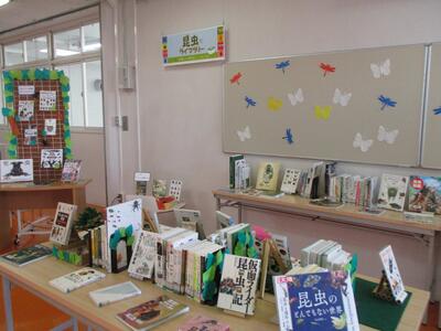 2階展示　「昆虫ライブラリー」